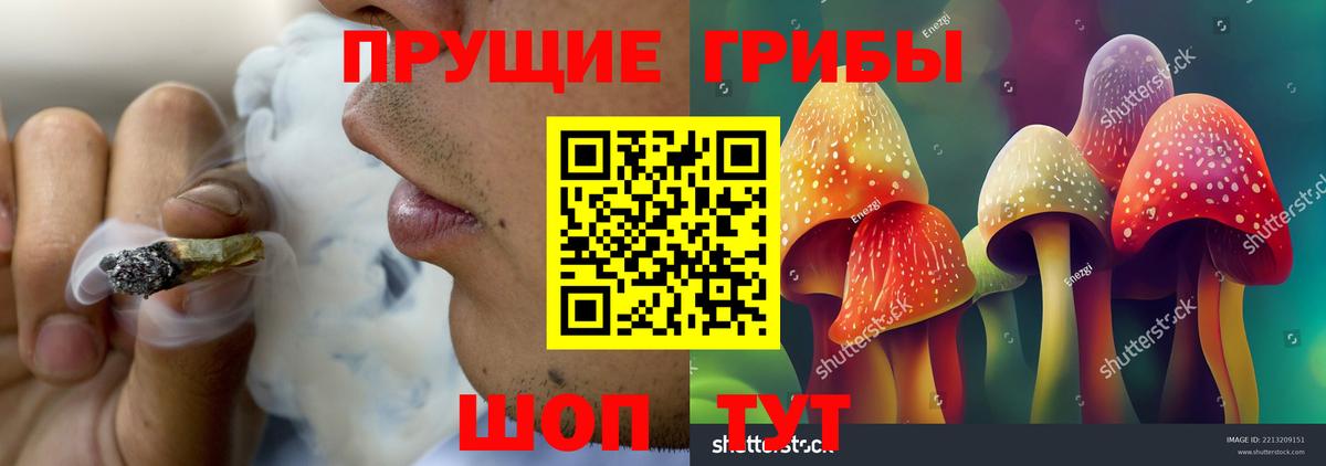 Галлюциногенные грибы Cubensis  Галлюциногенные грибы Magic Shrooms  Архангельск  Вход с VPN 